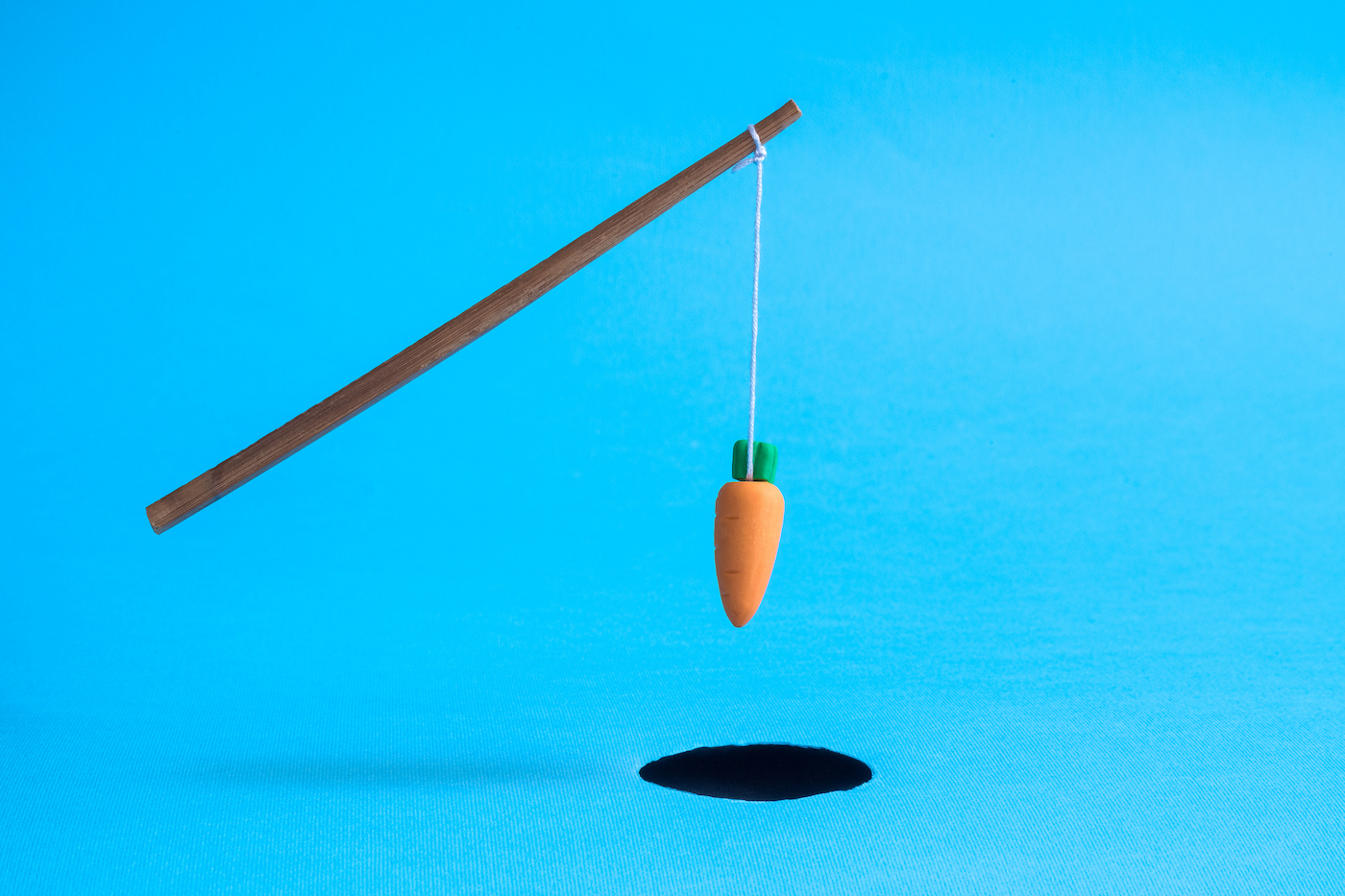 Stick with carrot above rabbit hole on pastel blue background minimal creative concept.