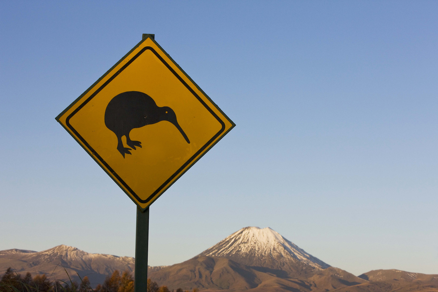 Kiwi crossing sign and Ngauruhoe Volcano, Tongariro National Park, North Island, New Zealand