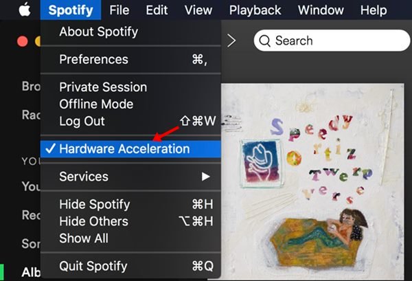 Enable Spotify Hardware Acceleration on macOS