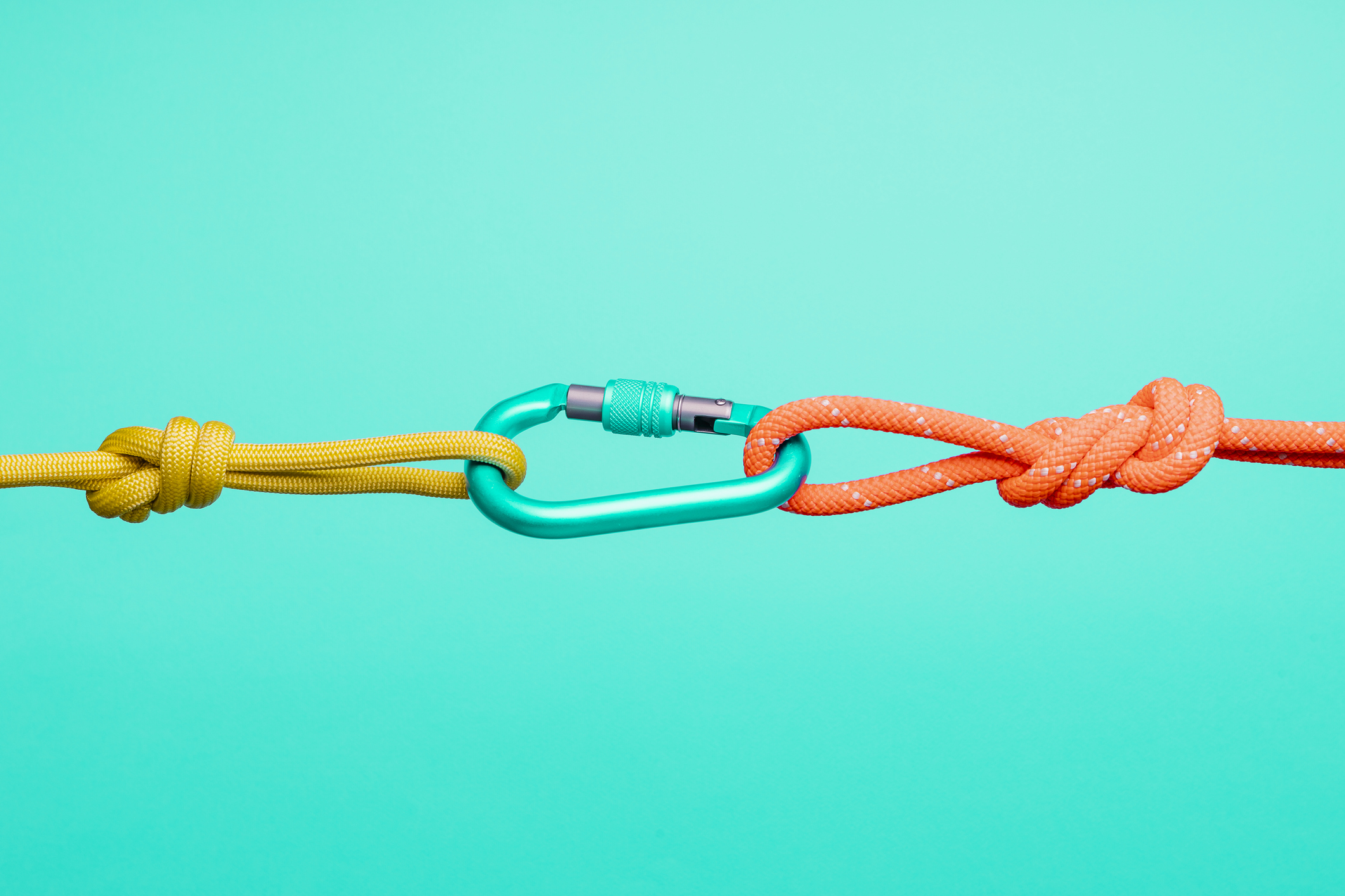 climbing ropes connected by carabiner
