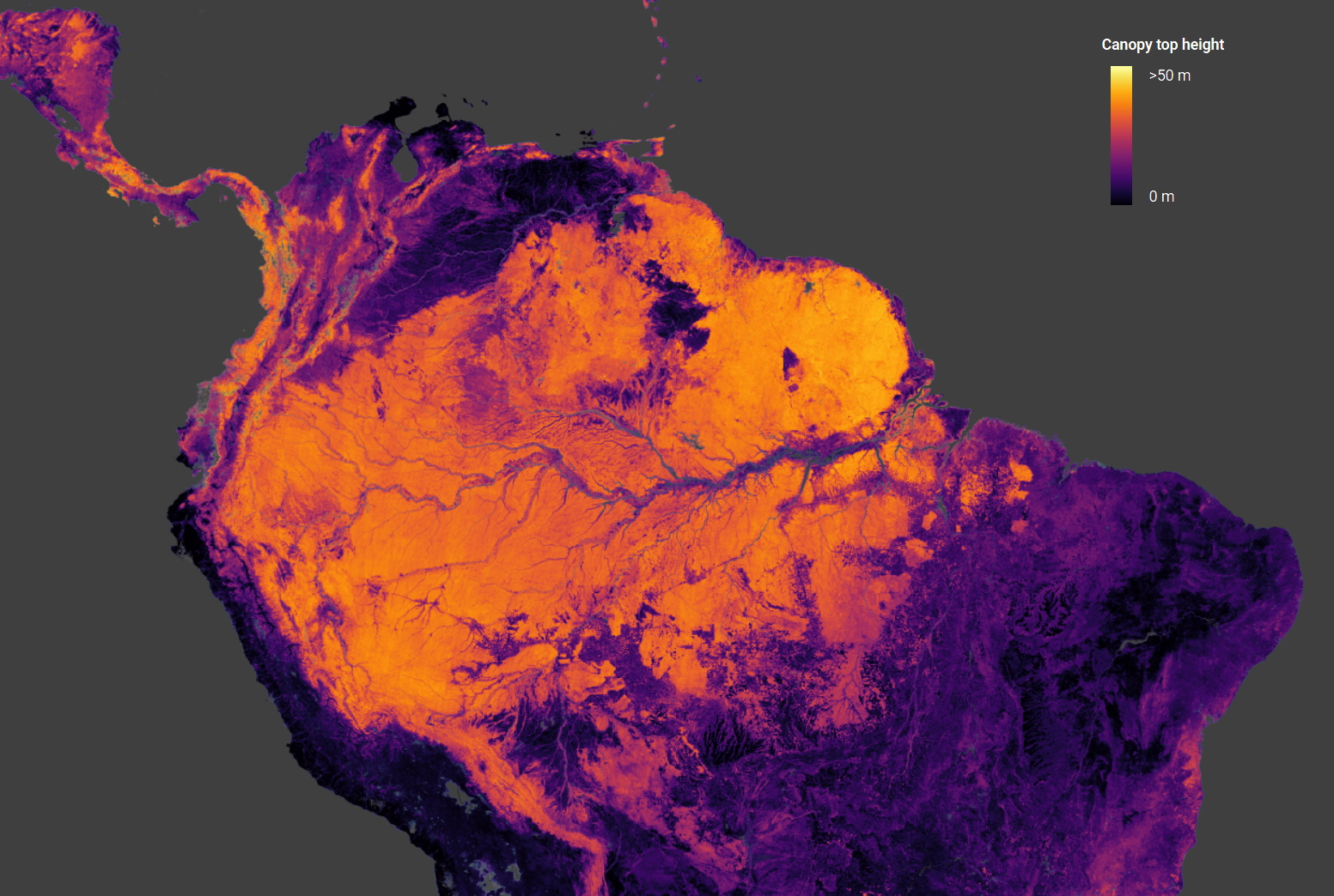 View of the top half of South America as a map of canopy height.