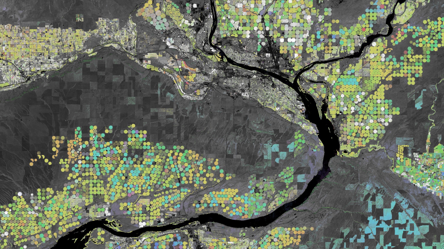 A Satellite-derived Earth Engine image showing seasonal agricultural peaks near the Columbia and Snake Rivers in Washington state. The round fields are corn and soy maturing in different months.