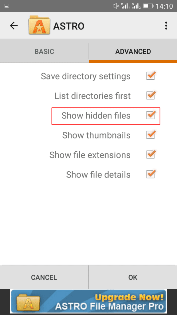 Show hidden files