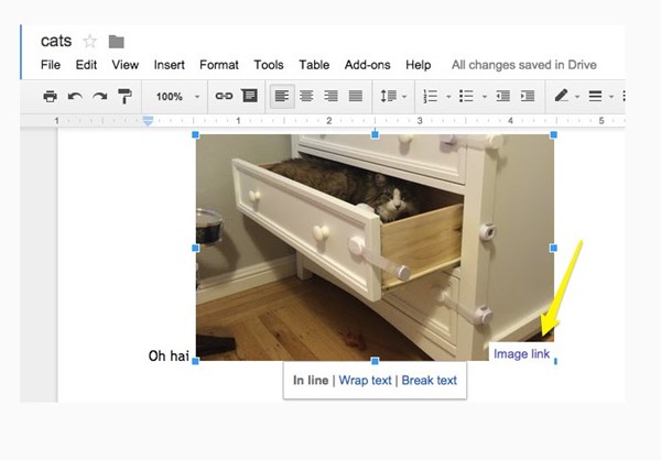 Google Docs Show Image Source