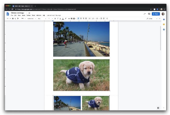 Google Docs Image Viewer